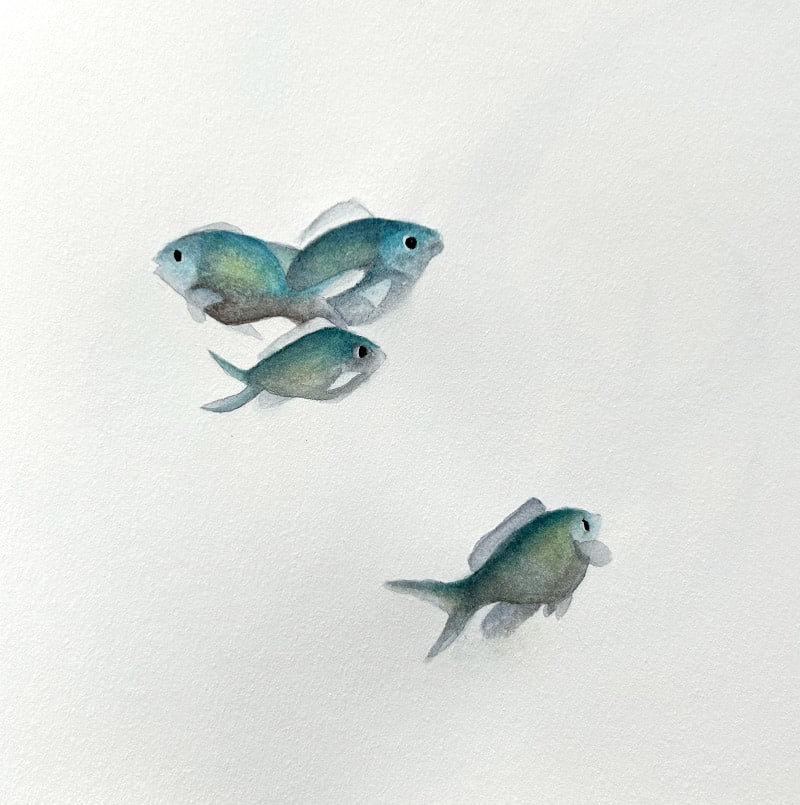 Oeuvre aquarelle de l'artiste peintre Sascha Nadeau - Small Fish